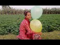 balloon bursting and learn colour