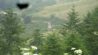 DSCN0453.AVI