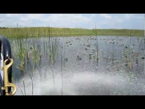 Boggy Creek Airboat Ride