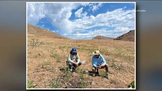 University of Idaho researcher studying pre-fire land management
