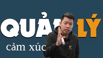Quản trị cảm xúc | Lê Mạnh Cường