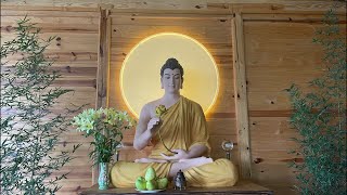 Pháp đàm NIKAYA - Căn Bản Trí