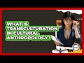 What Is Transculturation In Cultural Anthropology? - Anthropology Insights