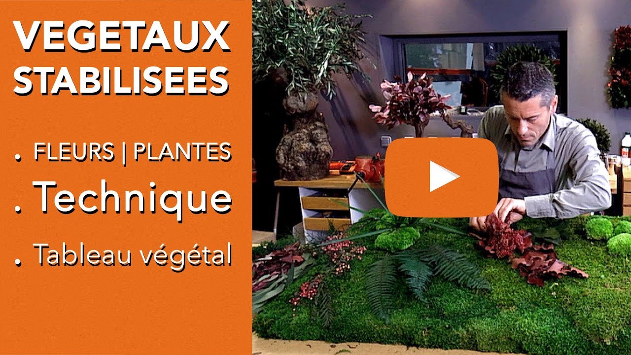 PLANTES STABILISÉES-FLEURS STABILISÉES-VÉGÉTAUX STABILISÉS, quelle technique ?