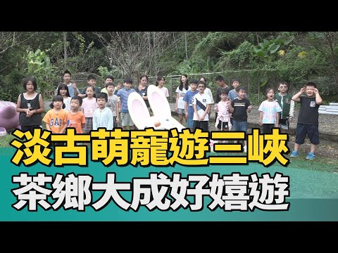 中嘉寬頻新北生活台：淡古萌寵遊三峽 茶鄉大成好嬉遊 影片預覽圖