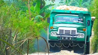 Old Truck Action‼️Uphill With Incredible Power screenshot 2