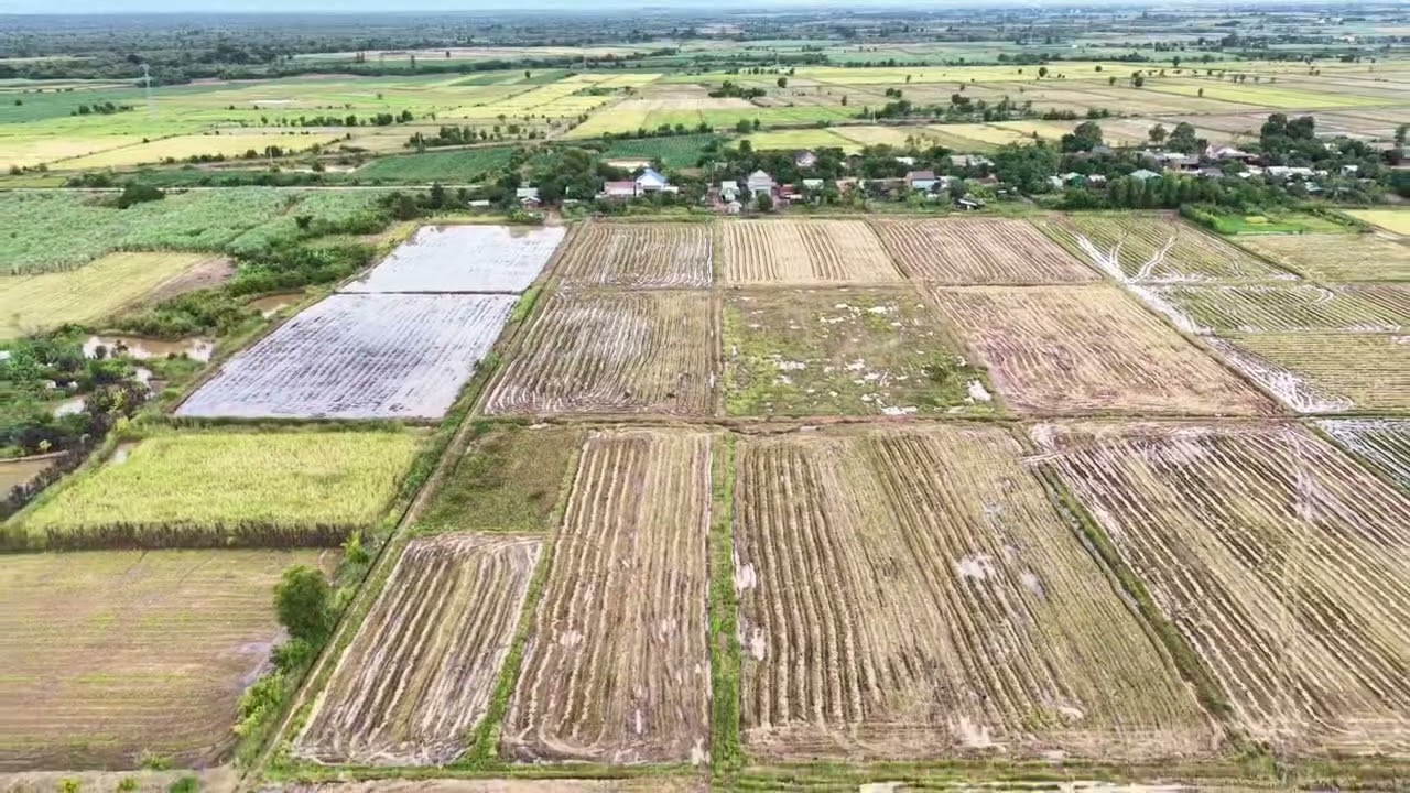 CẦN BÁN-5HA RUỘNG LÚA 2VU-ĐÃ CÓ TRÍCH LỤC-GIÁ 200TRIEU/HA-EASUP-DAKLAK-LH 0528.35,7777