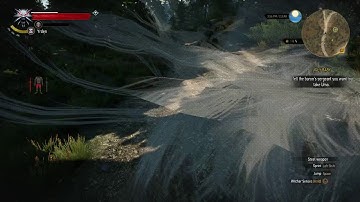 The Witcher 3 - First Person Gameplay (bug)