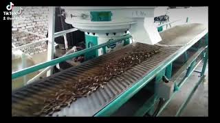 Wood Pellets Line.turnkey Project.24Hours Engineers Team Support.buy Pellets