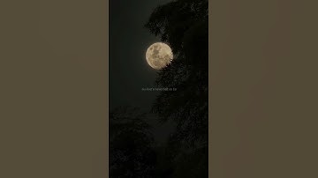 Thumbnail of in the stars - sami rose/Aesthetic song/#viralsong/#lyrics