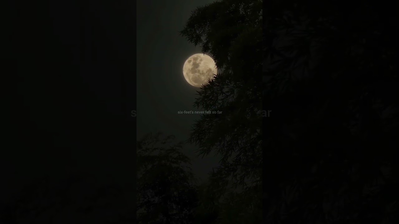 in the stars - sami rose/Aesthetic song/