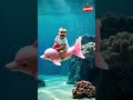Cute Baby Riding A Pink Dolphin Funny Baby Videos Shorts Cute Babylaughing Funnybabyvideos Cute Baby Riding A Pink Dolphin Funny Baby Videos Shorts Cute Babylaughing Funnybabyvideos