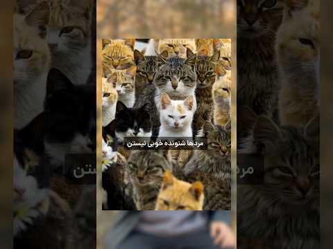 اخبار ٩ آذر دنیای گیم تکنولوژی هوش مصنوعی فیلم و سریال 