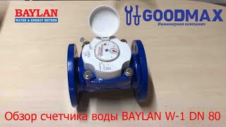 Обзор турбинного счетчика для холодной воды BAYLAN Woltman W-1 Dn 80