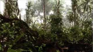 Celebrity CryEngine 2 - Quality & Quantity Together Extreme Quality Mode HD Profile
