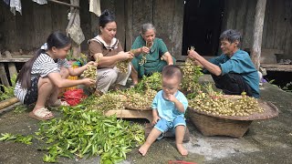 Picking Wild Fruits With Dad Going To The Country Market, Cooking Homemade Dishes Lý Thị Ca