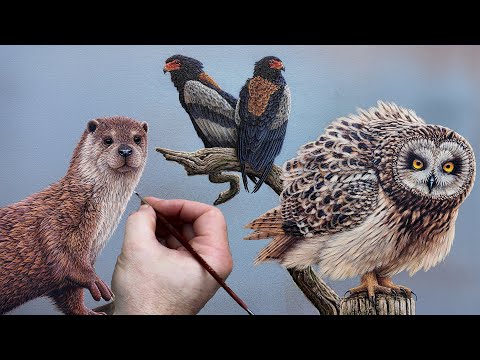 Adding the Final Touches 🖌️To A New Collection Of Paintings | Wildlife Art | Robert E Fuller