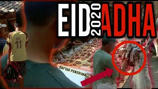 Penyembelihan Hewan Qurban Ii Spesial Idul Adha 2020