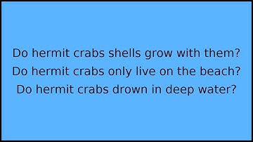 Busting hermit crab myths!