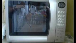 Is It A Good Idea To Microwave A Hamster