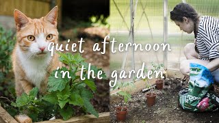 Planting Tomatoes & Squash | May in our English Vegetable Garden