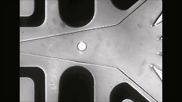 High-throughput multiplexed fluorescence-activated droplet sorting