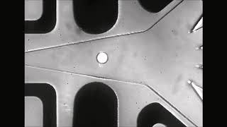 High-throughput multiplexed fluorescence-activated droplet sorting