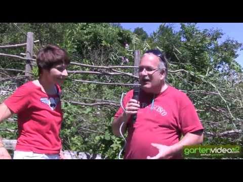 ein-garten-für-faule-gärtner---mit-sabine-reber