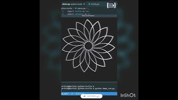 Graphics with python turtle | Python Turtle Graphics 20 | Awesome python turtle graphics #viral