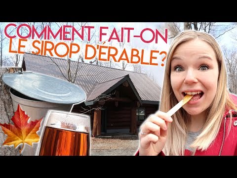 Vidéo: Cabanes à sucre à Montréal (Les bases du sirop d'érable)
