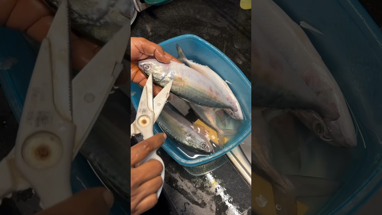 Tip to clean Indian Mackerel Fish (Ayilai/அயிலை) #fish #seafood #cleaning #tip  #trending #shorts