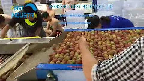 lychee grader, lychee size sorter