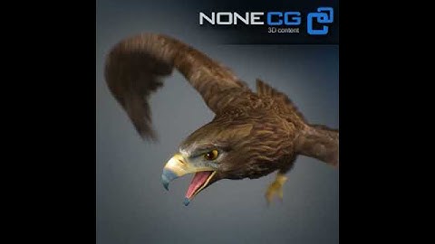 Animated Bald and Golden Eagle 3D model from CGTrader.com