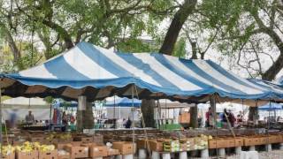 The Fairchild Coconut Grove - Launch Video