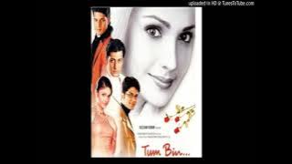 Dekhte Hi Dekhte Dil Kho Gaya (Tum Bin)