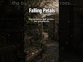 Falling Petals