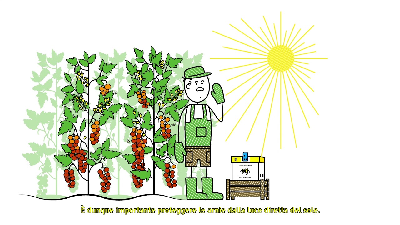 Impollinazione con bombi con temperature elevate