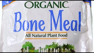 Benefits of BONE MEAL and How to Use It to INCREASE PHOSPHORUS? | Organic Hawaii | Gardening Tips