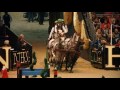 Extreme Driving at Olympia Horse Show
