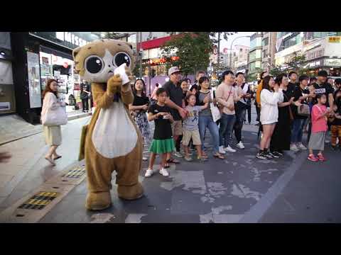 JHKTV] 신촌 명물고양이 사랑비shin chon special <strong>cat</strong> &amp;amp; Love <strong>Rain</strong>