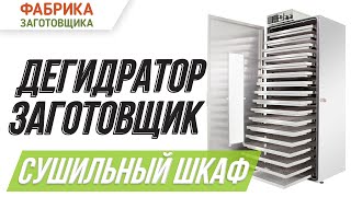 Как выбрать дегидратор? | Обзор сушилки для овощей и фруктов «Заготовщик»