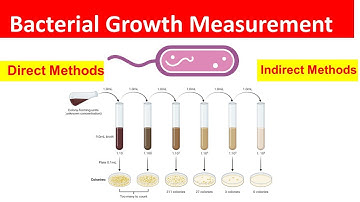 Bacterial Growth Measurement: Direct and Indirect Methods Explained