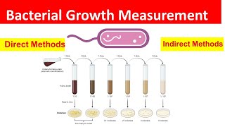 Bacterial Growth Measurement: Direct and Indirect Methods Explained