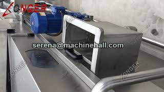 500 KG Hr Palm Date Processing Plant - Washing, Cleaning and Drying