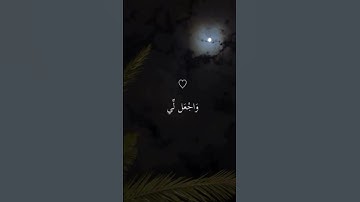 قرآن کریم تلاوات خاشعه. تابعني واكسبالاجر #ماهر_المعيقلي ادریس ابکر #محمداللحيدان #ياسر_الدوسري