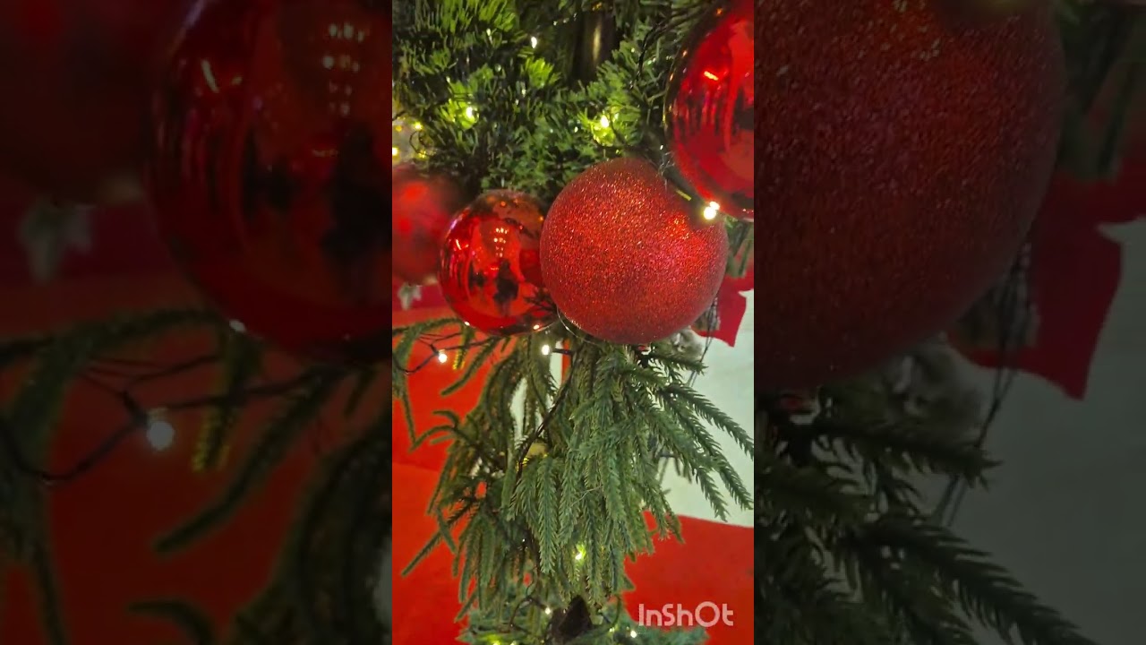 ভাল লগা সময়খিনি