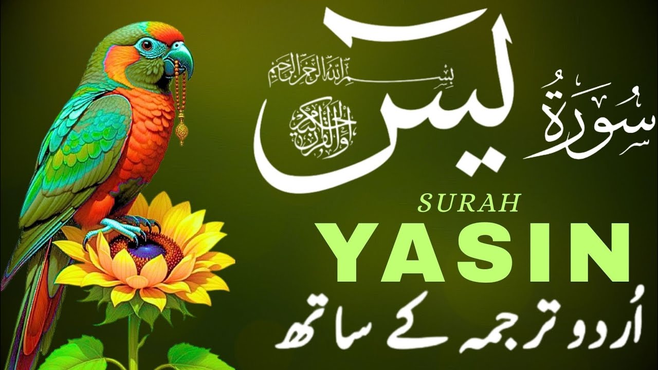 Surah Yaseen(سورۃ یاسین) with Urdu Translation | Episode 67 | Zikr e Quran Recite