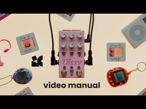 Lossy - Video manual