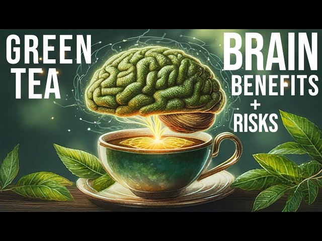 THIS is Your Brain on GREEN TEA: New (2024) Science on the Brain Health Benefits of Green Tea *WOW* class=