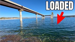 This MASSIVE Dam Was Hiding a TON of Fish! (Surprise Catch)